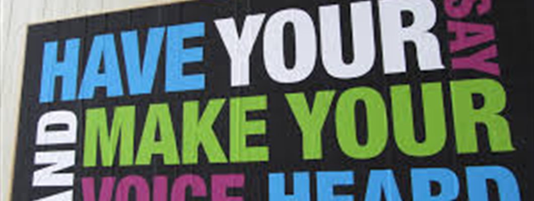 Voice as a fundamental aspect of ‘Good Work’