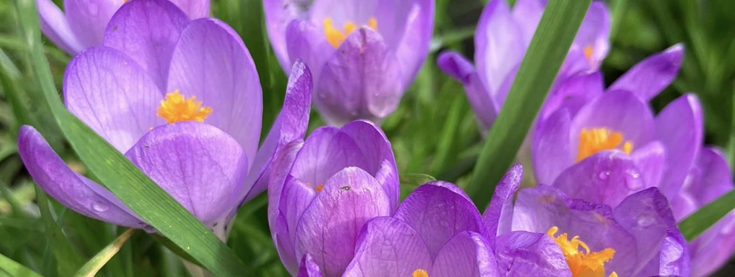 World Childless Week: Supporting Colleagues