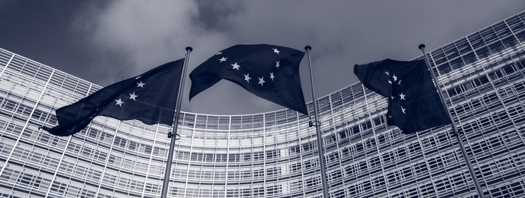 EU flags waving in front of government building