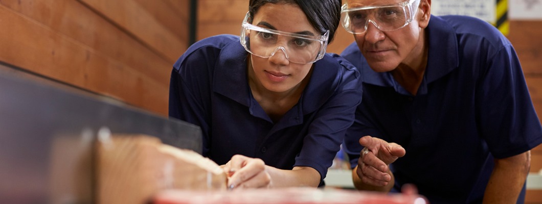 Contributing to the new Skills Strategy