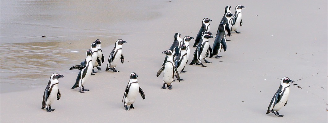 People Profession 2030: senior leaders’ views on how the profession must evolve